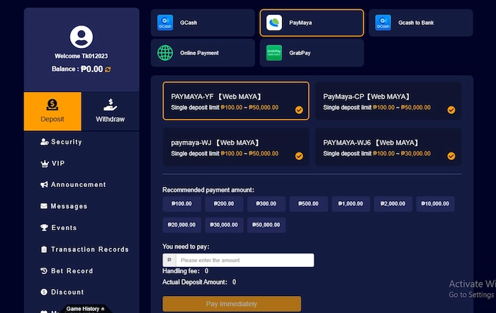 Instructions on How to Deposit 30JILI